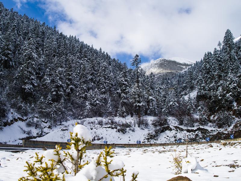 हिमपहिरोमा अफगानिस्तानको उत्तरी प्रान्तमा चार जनाको मृत्यु, ३० घर ध्वस्त